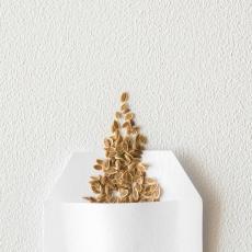 Семена цветов - Саженцы, семена Семена цветов - Саженцы, семена