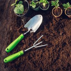 Инструменты - Саженцы, семена Инструменты - Саженцы, семена