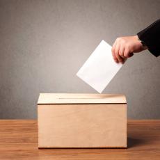 Сертификаты - Саженцы, семена Сертификаты - Саженцы, семена